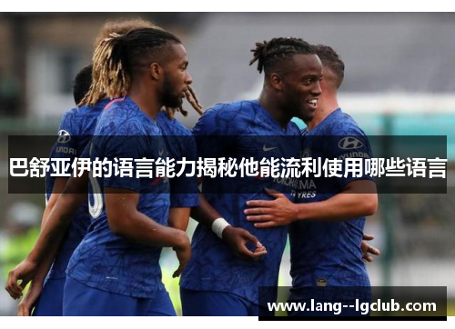 巴舒亚伊的语言能力揭秘他能流利使用哪些语言